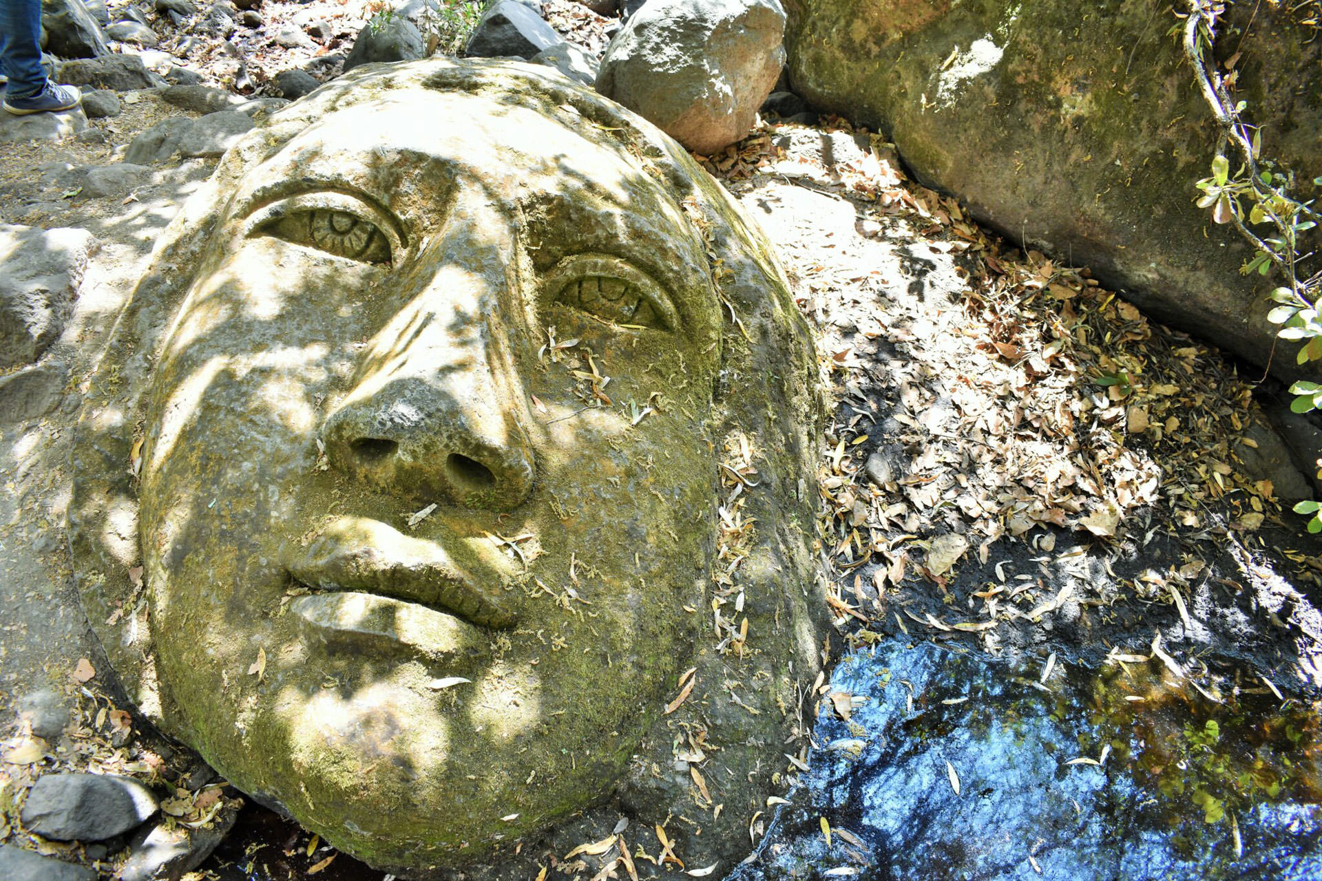 La historia real de las cabezas gigantes en Escolásticas Turismo Pedro Escobedo